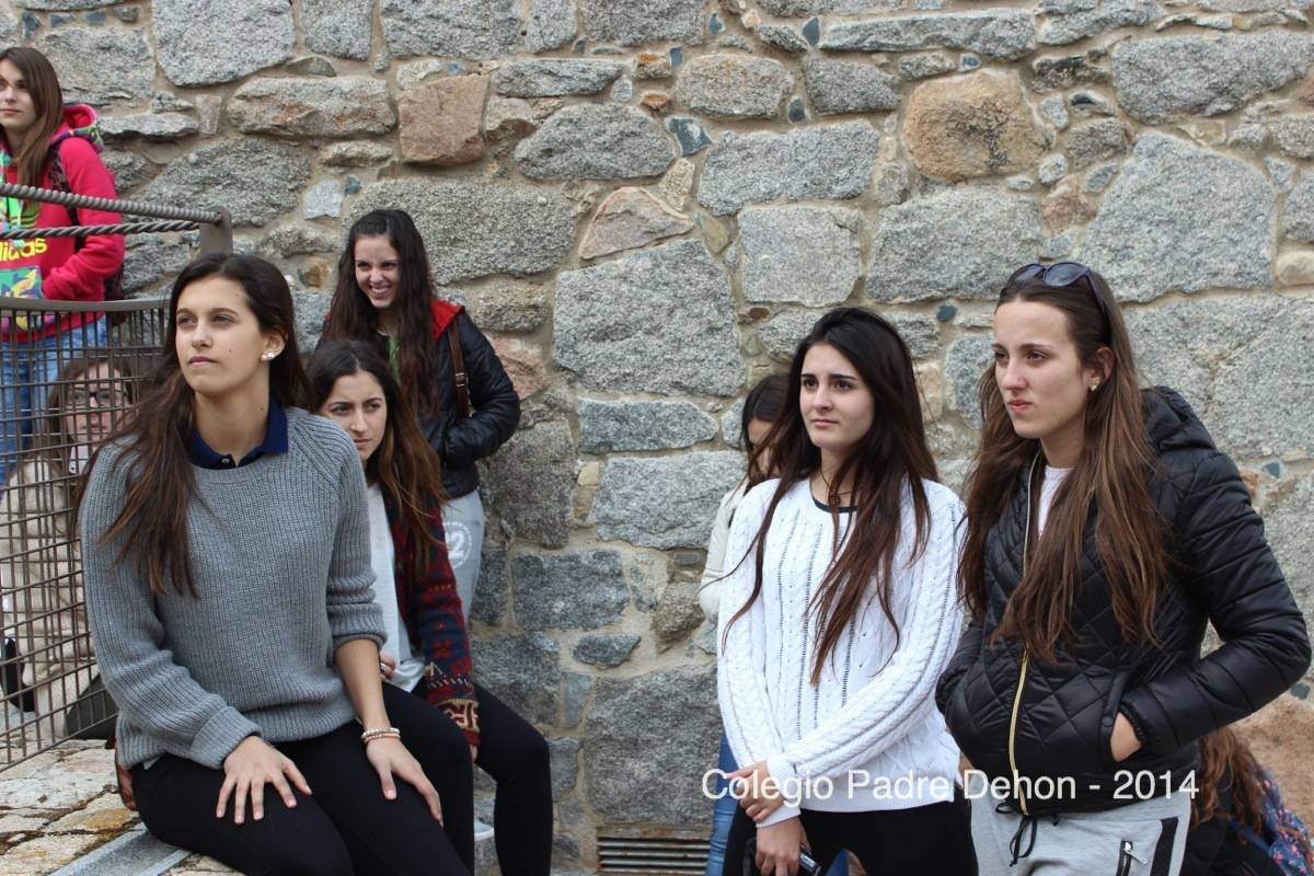 2014 03 20 ÁVILA MURALLAS (68)